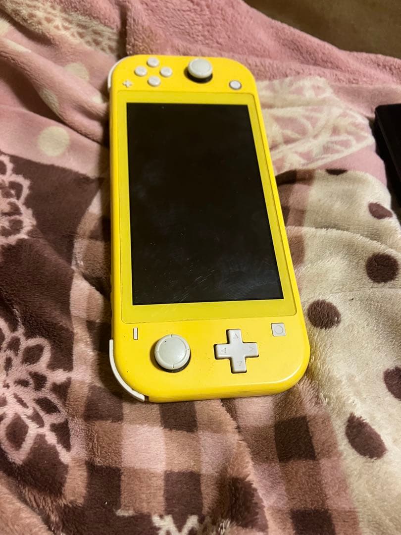 t*o様 Nintendo Switch Lite Nintendo Switc