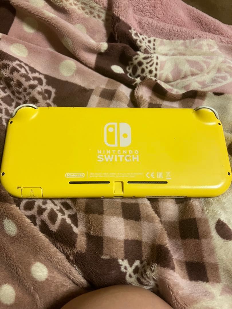 t*o様 Nintendo Switch Lite Nintendo Switc