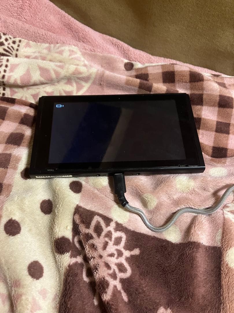 t*o様 Nintendo Switch Lite Nintendo Switc