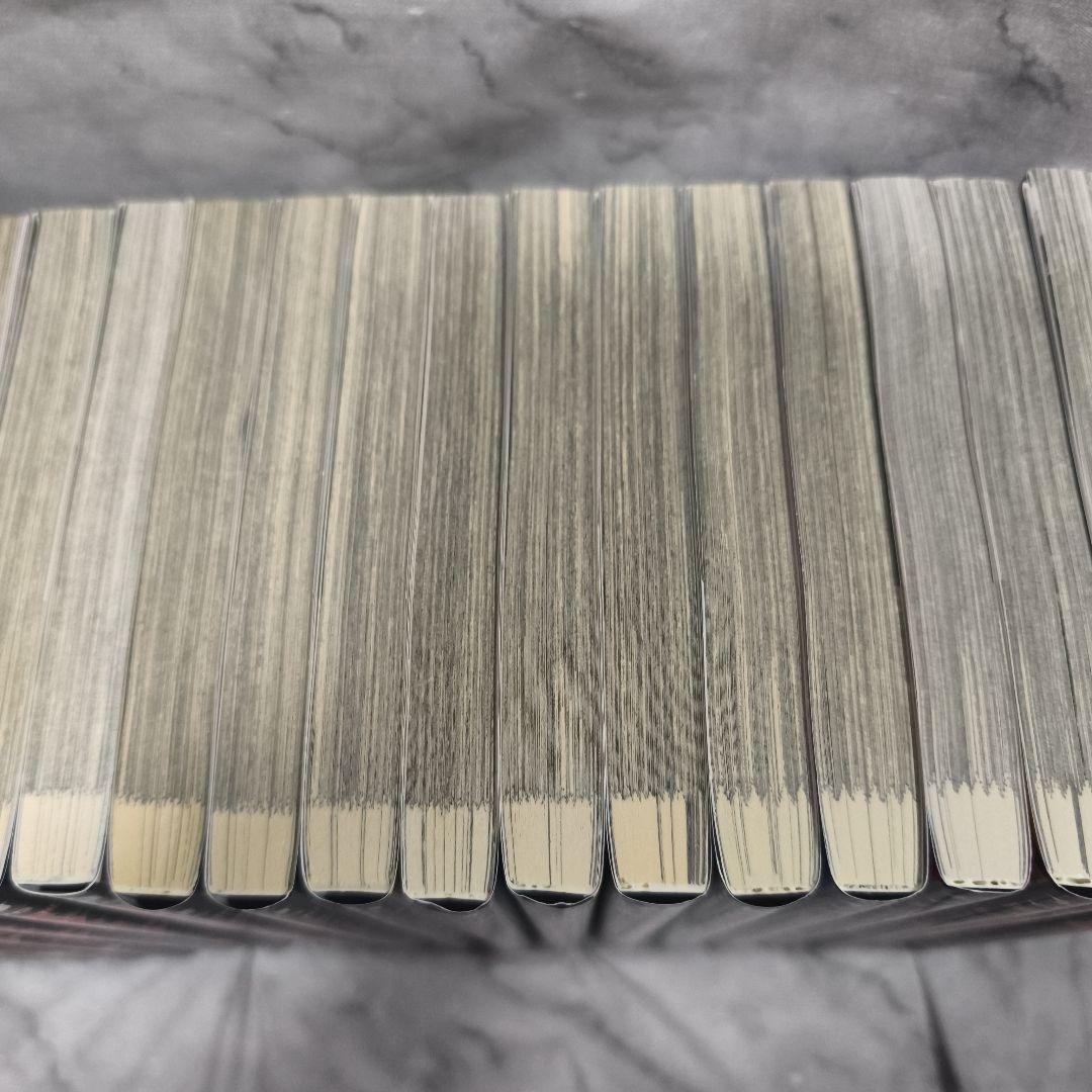 ジャンケットバンク 1-20巻 全巻 小説 21冊セット★田中一行 集英社