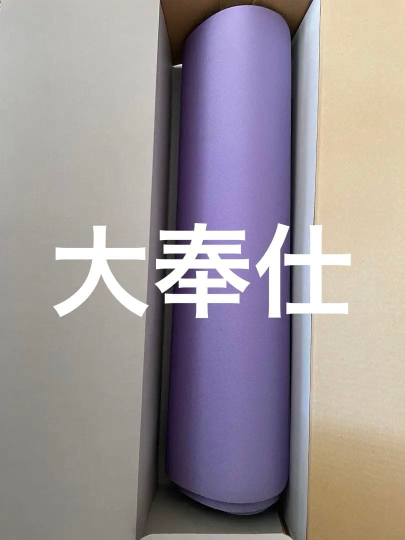 BIORUBBER バイオラバー マット 3M 756000円の品　最終大特価