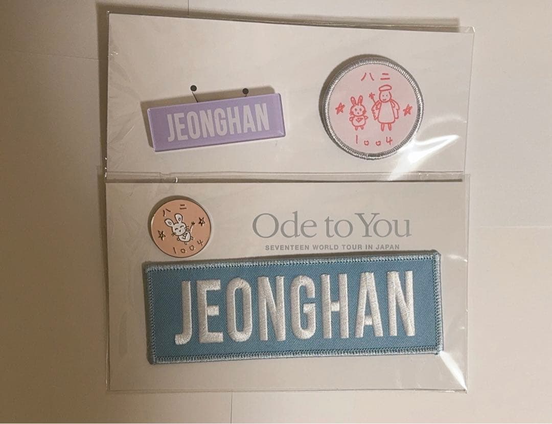 ジョンハン バッジセット ドームツアー Ode to you