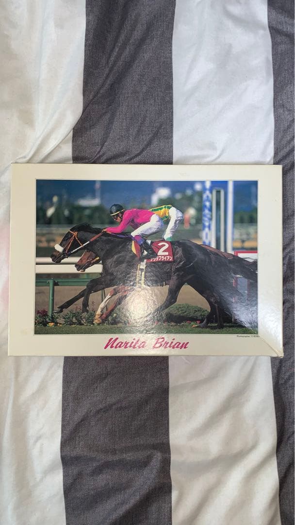 ナリタブライアン　ジグソーパズル　レア品