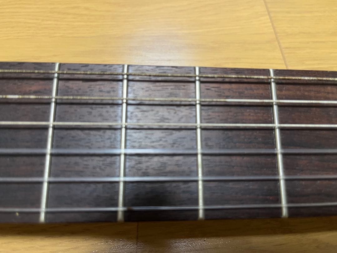 ボーちゃん専用品 ARIA アリア AS-101C Sinsonid