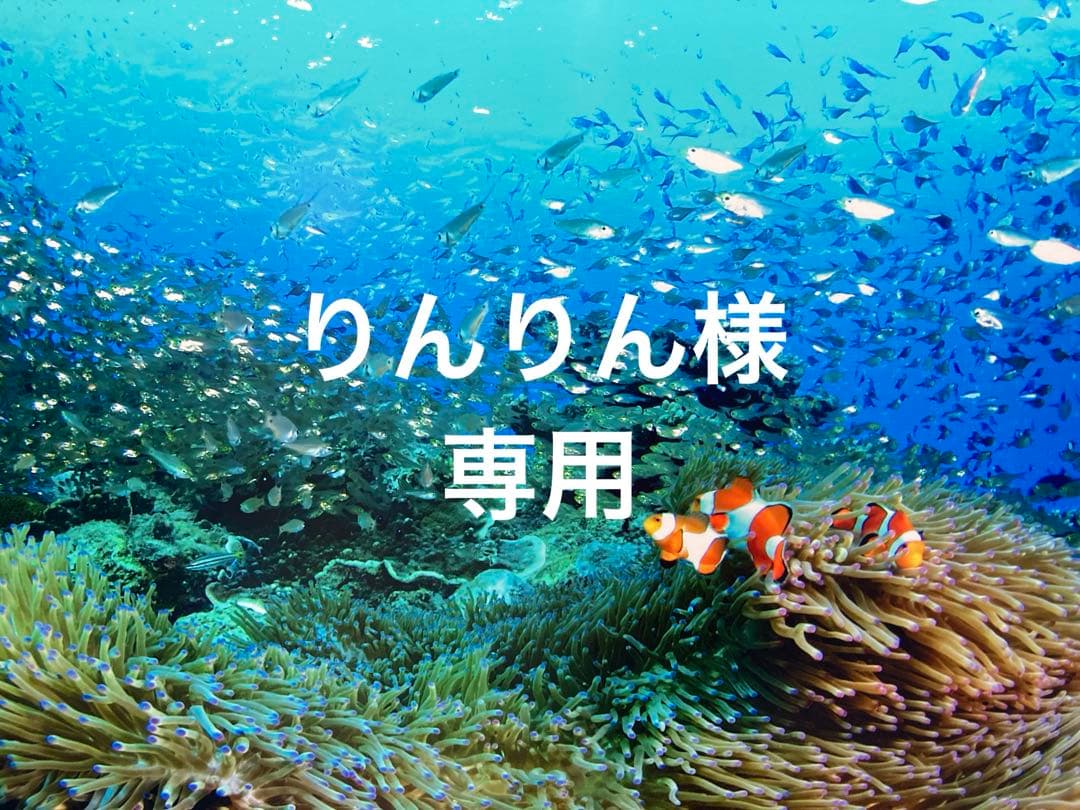 エンビロンCクエンスセラム4 プラス　アイジェル　クリアスキンオイル