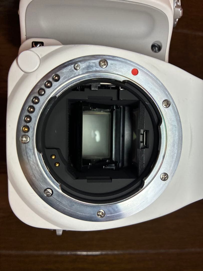 PENTAX K-S1 ジャンク　作例あり