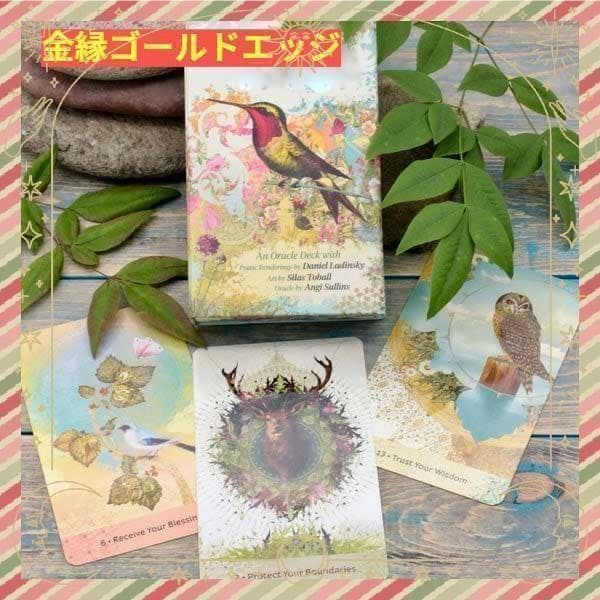 【正規品オラクルカード】海外美麗デッキ✨古代の知恵オラクル ゴールドエッジ 金縁