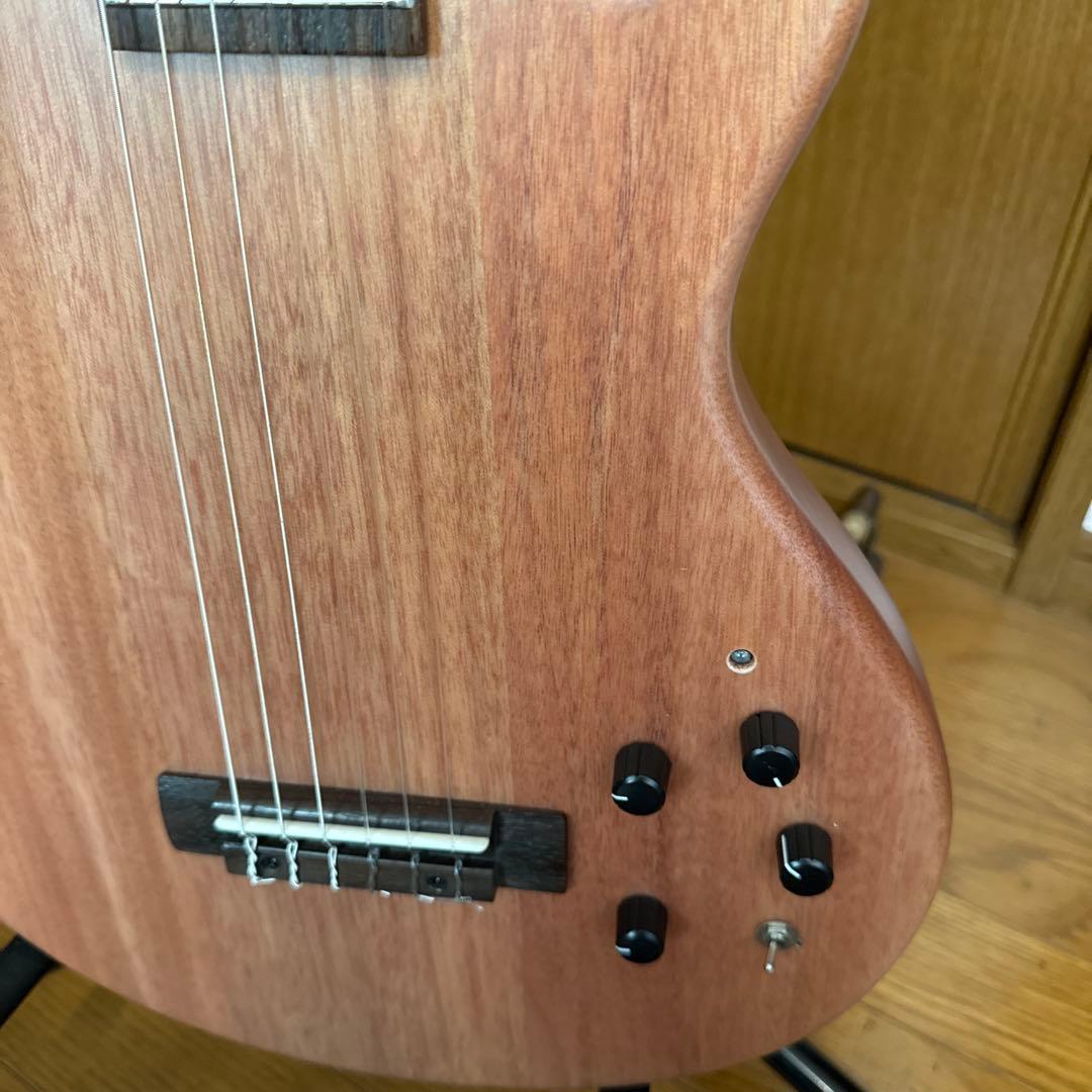 エレガットギター