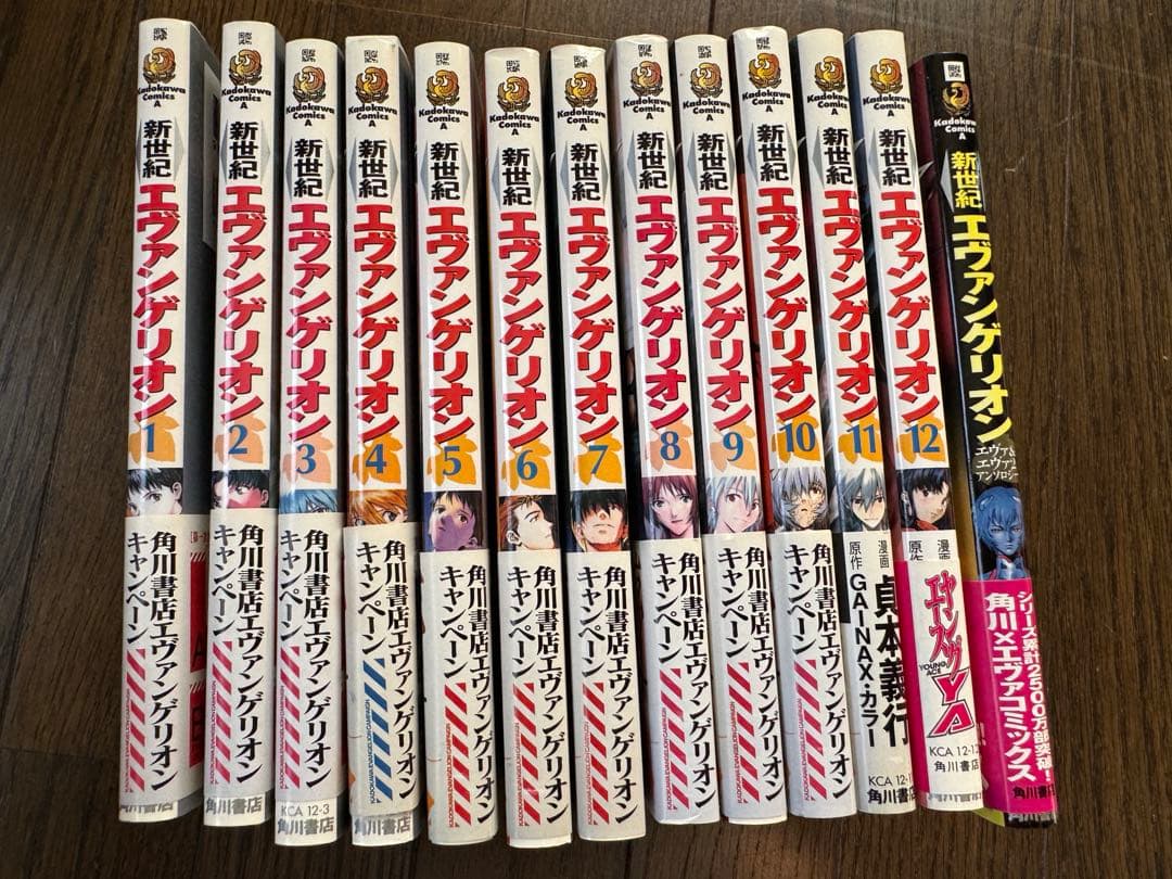 エヴァンゲリオンコミック1～12巻＋1冊★DVDVol.1～8＋1枚★セット売り
