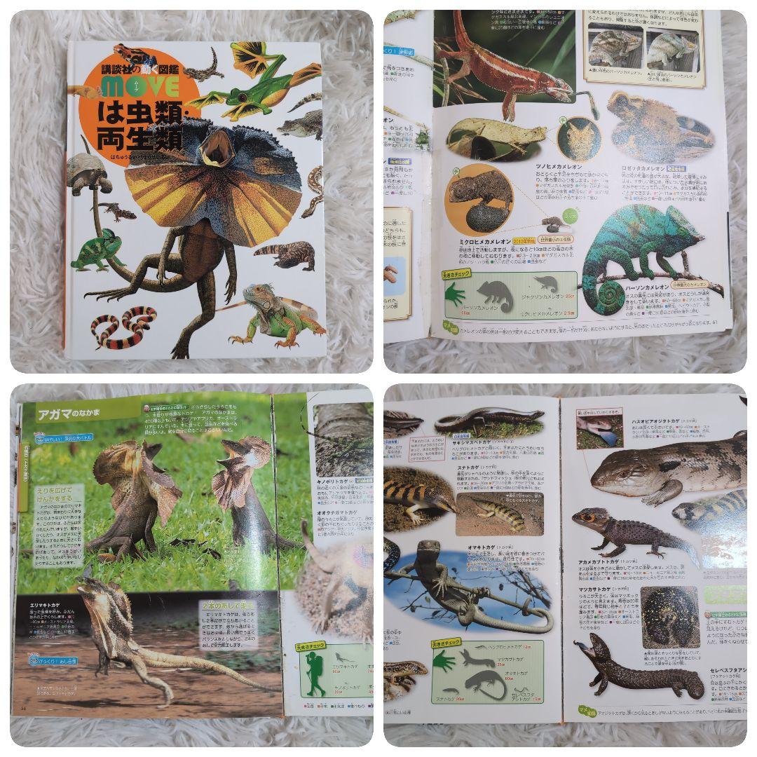 【DVDなし】講談社の動く図鑑MOVE 16冊