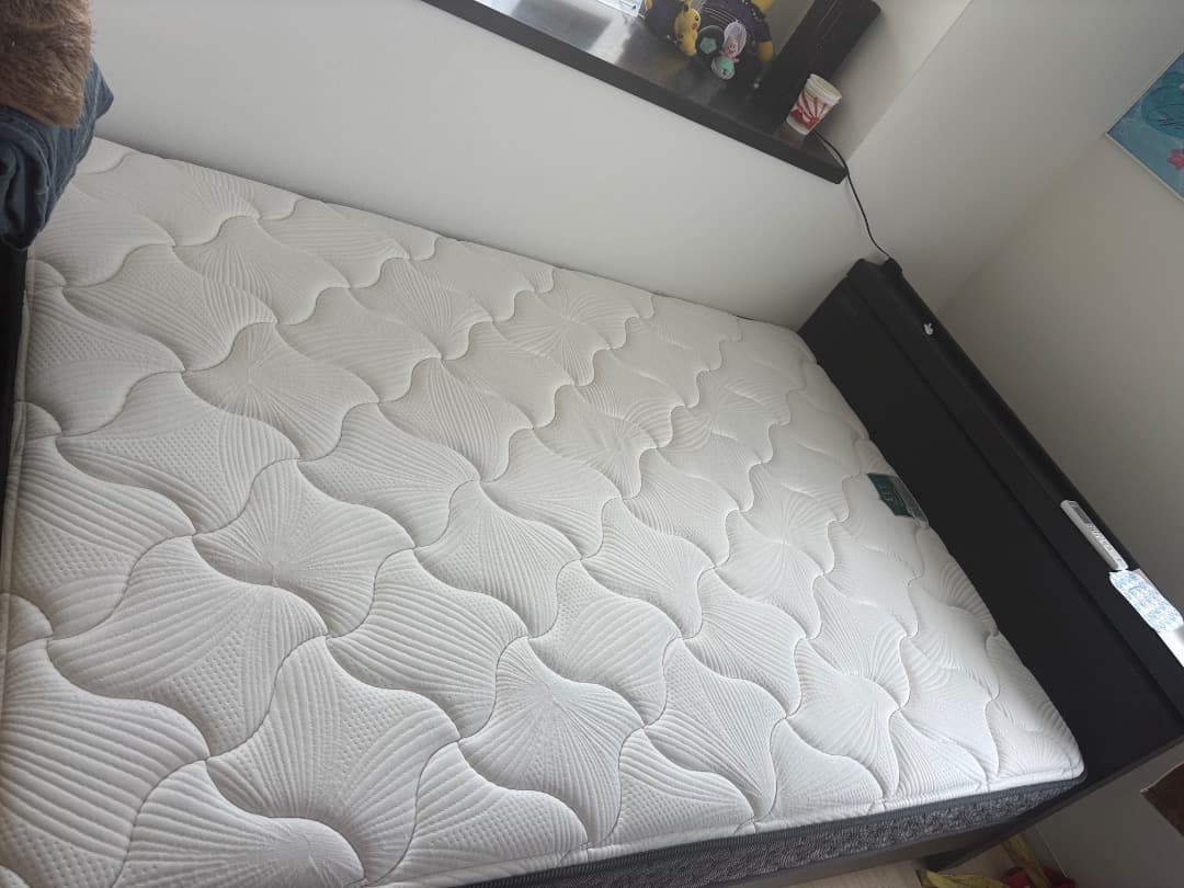 【引っ越しのため7月16日までの掲載】フランスベット　マットレス　ダブル