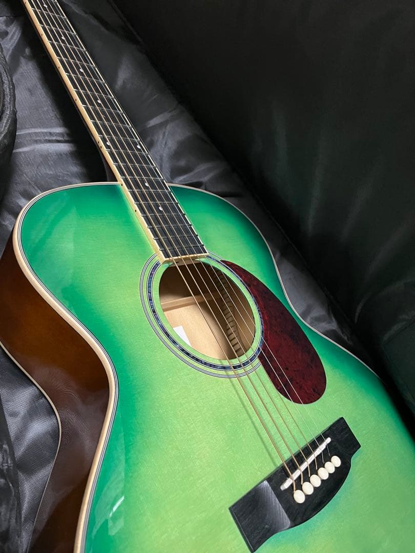 音音アコースティックギターSFG-20