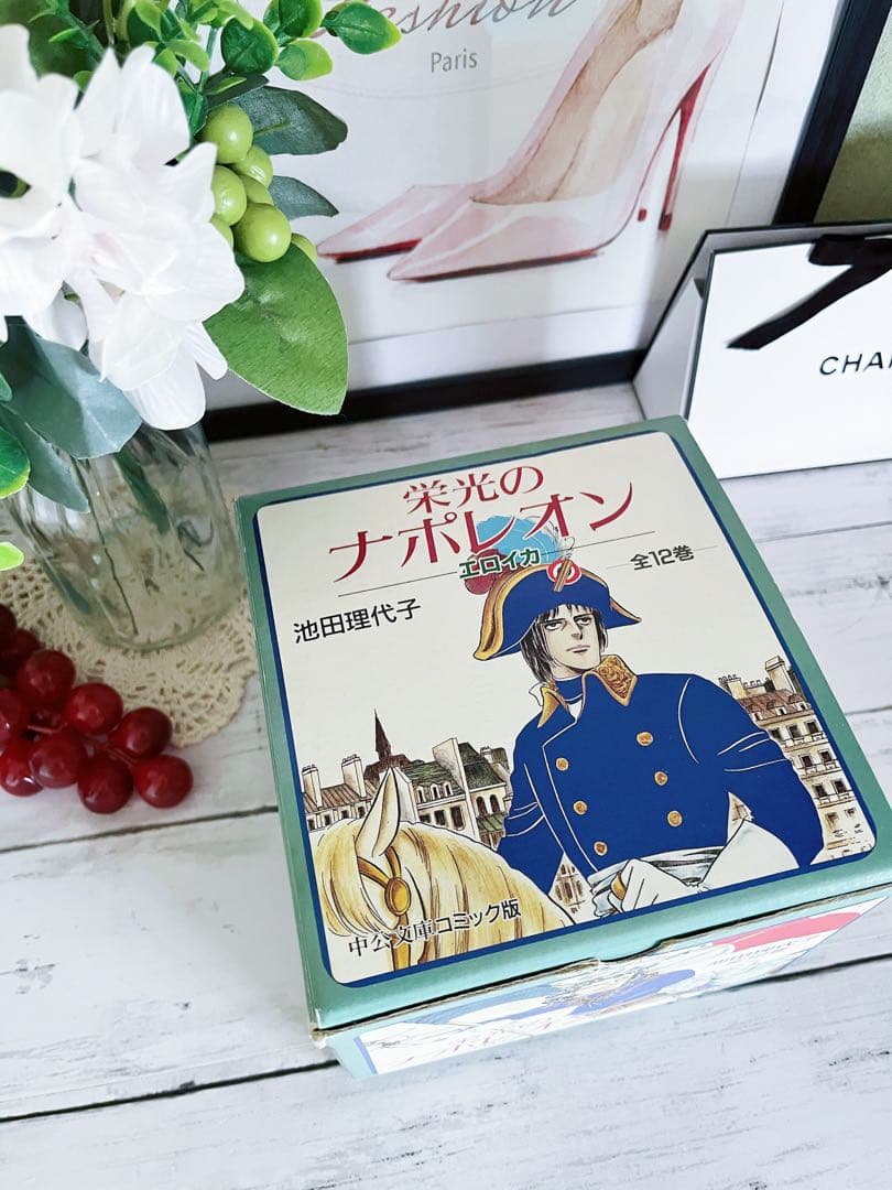 【全巻収納BOX付き】栄光のナポレオン 全12巻セット