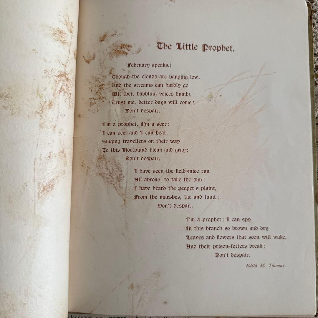 稀少1888年アンティーク美しい挿絵の絵本　洋書　古書ジャンクジャーナル額装にも