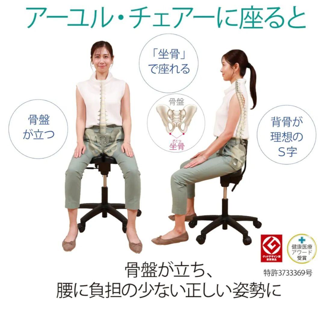 【美品】アーユルチェアー　オクトパス　キャスタータイプ（ブラック）