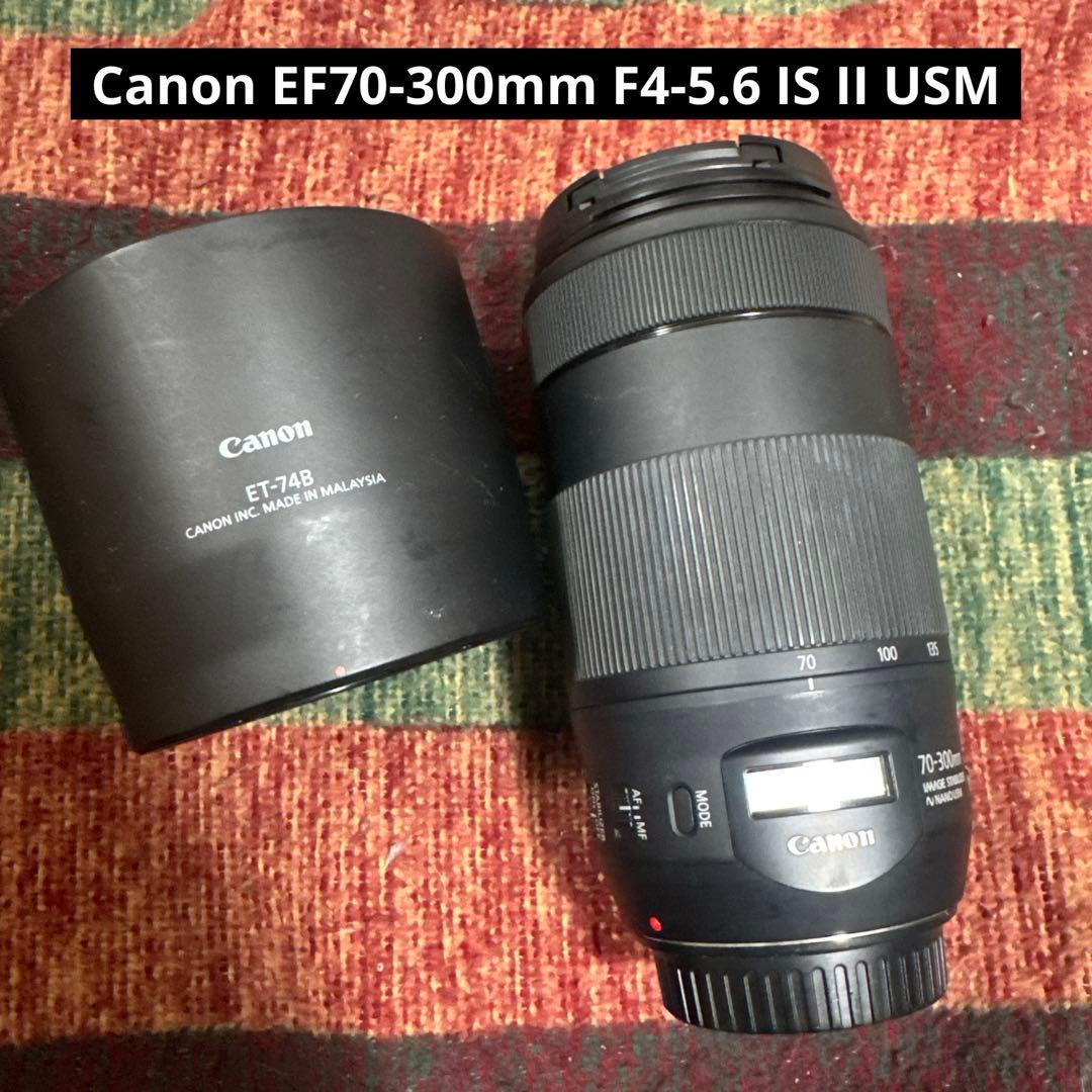 canon 望遠レンズ EF70-300mm F4-5.6 IS II USM