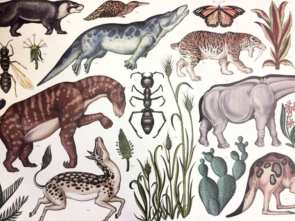 ［ニョッキさま専用］売切れ　アロマミストディフューザーＹＵＮ