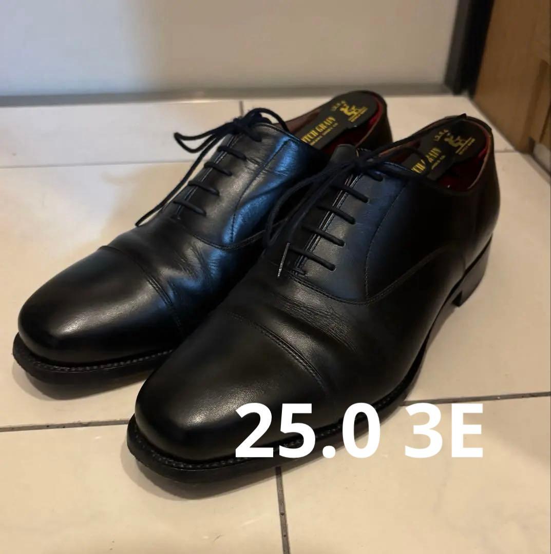 [スコッチグレイン] SCOTCH GRAIN ストレートチップ 25.0 3E