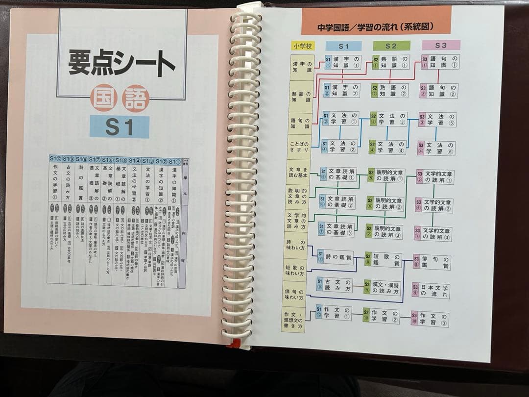 中学国語　家庭教師教材　要点指導書と
問題シート