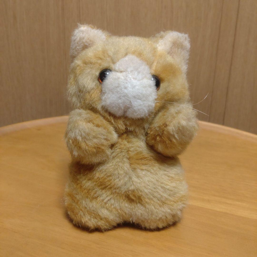 子猫物語　チャトラ