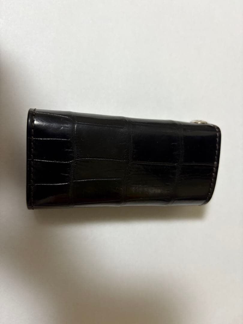 ワイルドスワンズ　クリッパー３　クロコダイル