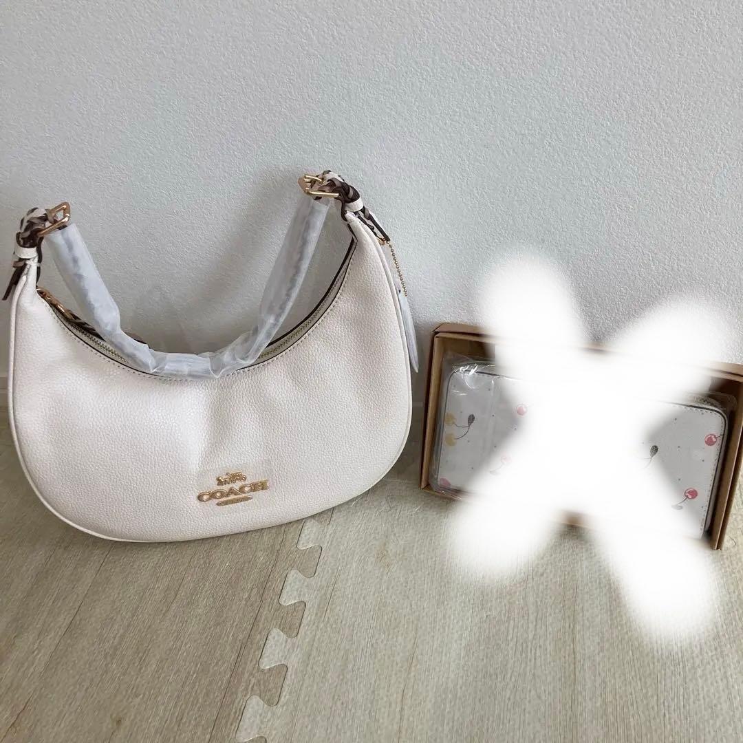 【新品】COACH バッグのみ