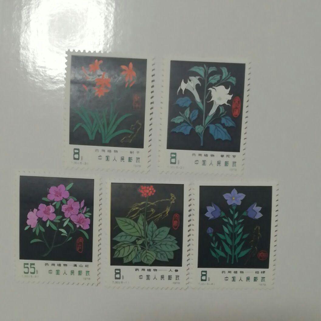 中国　切手　未使用　花　5枚セット