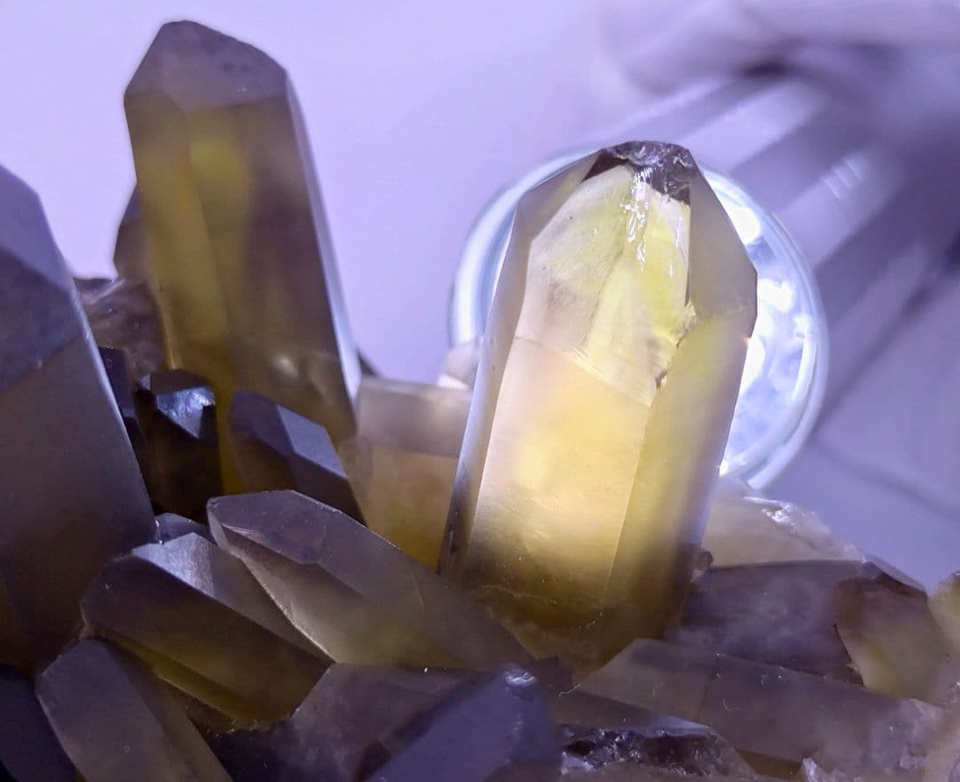 スモーキーシトリン　クラスター　（大）浄化　厄除け　魔除け　金運　ゼウスクォーツ