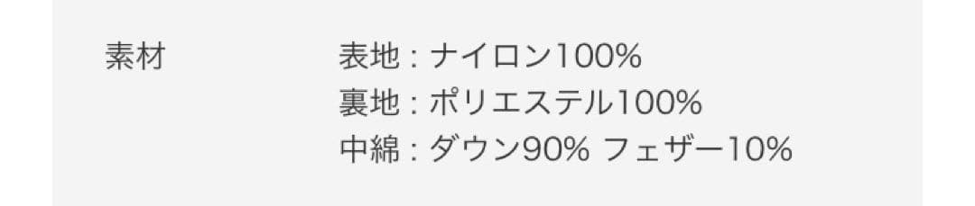 _*l様 DAIWA PIER39 TECH ALPINE DOWN PARKA