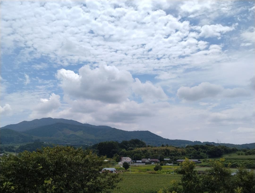 booo ラ・プレシア パーフェクトローション 125mL