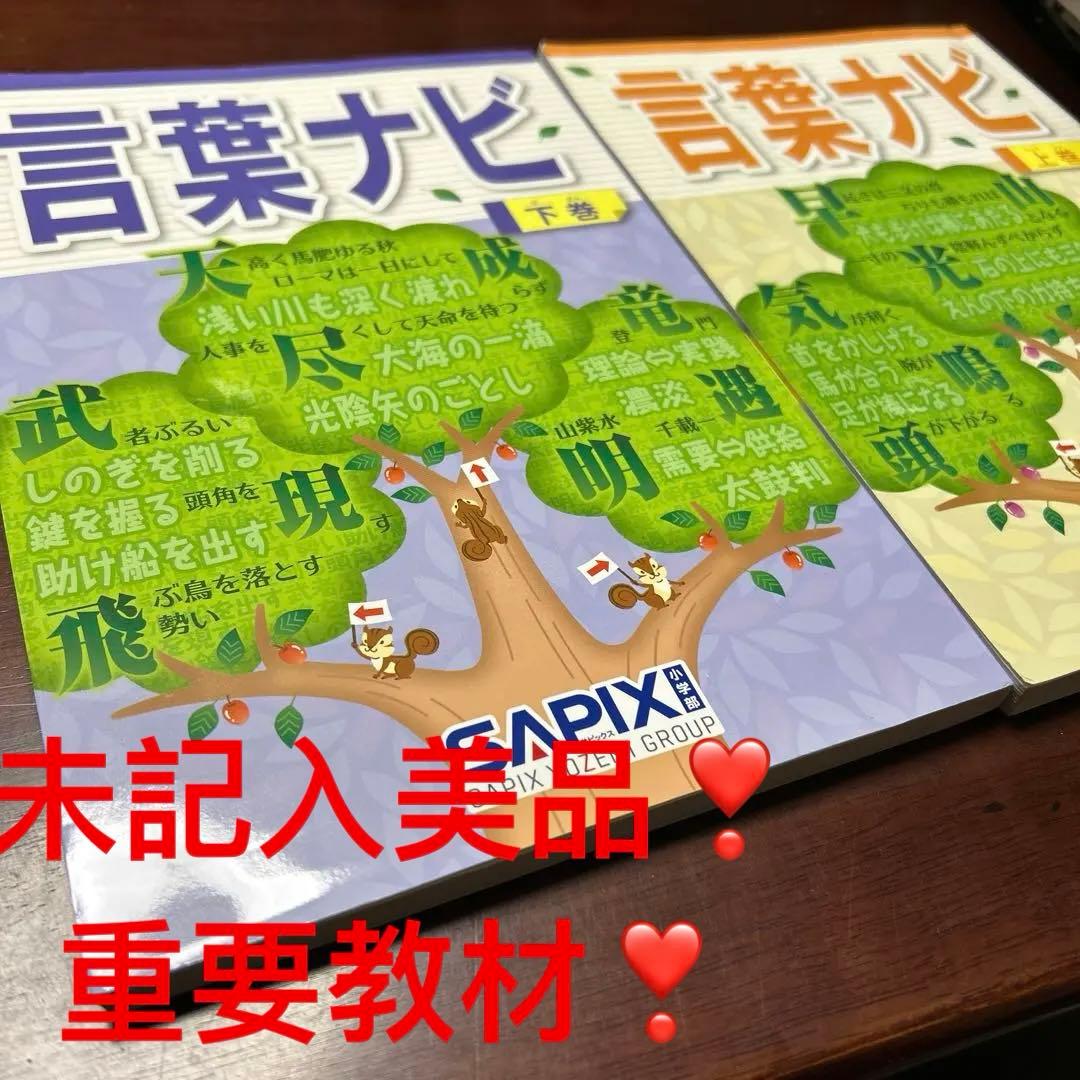 16-18や　重要教材　サピックス　SAPIX 言葉ナビ 上巻・下巻セット