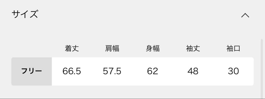 ライトブルー 長袖プルオーバーシャツ