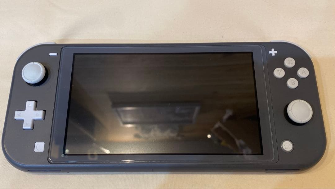 ジャンク品】充電器付きNintendo Switch Lite グレー