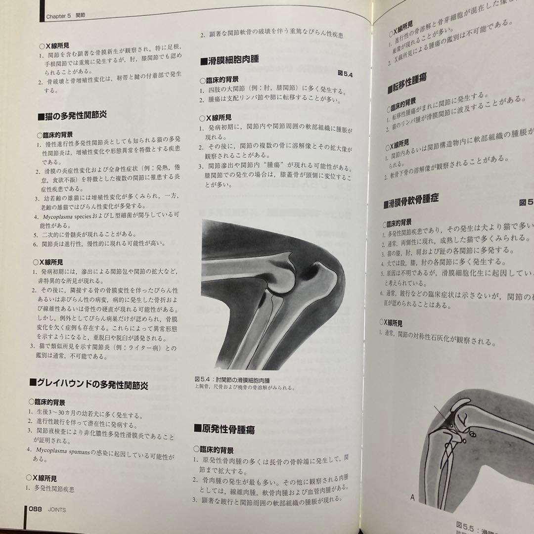 小動物の臨床X線診断 [第2版]