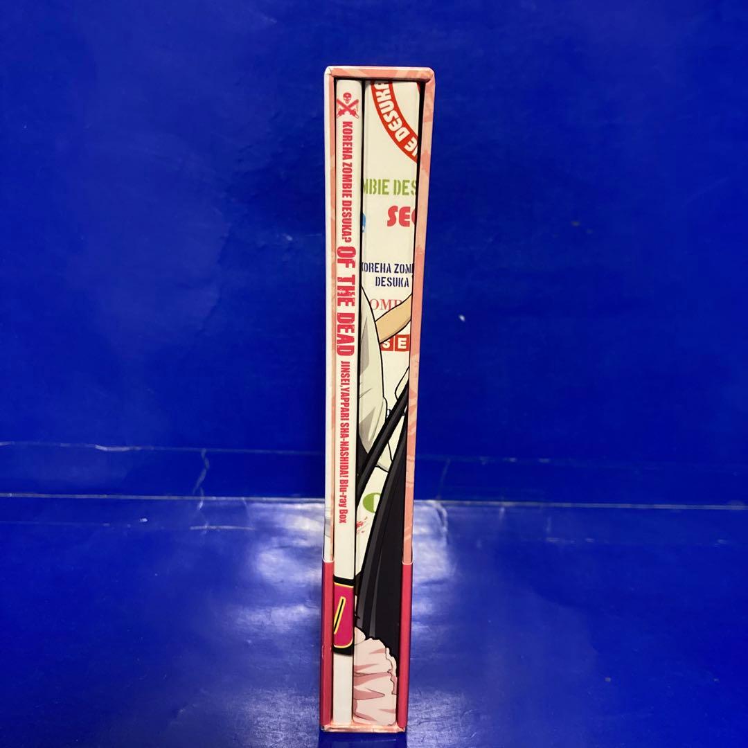 これはゾンビですか?オブ・ザ・デッド 人生、やっぱりしゃーなしだ!Blu-ray