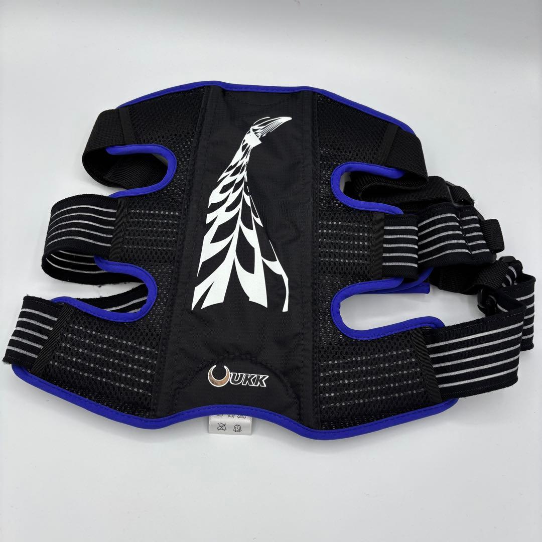 パワースポーター 腰用 Lサイズ ブルー UKK-15LB 運動科学研究所