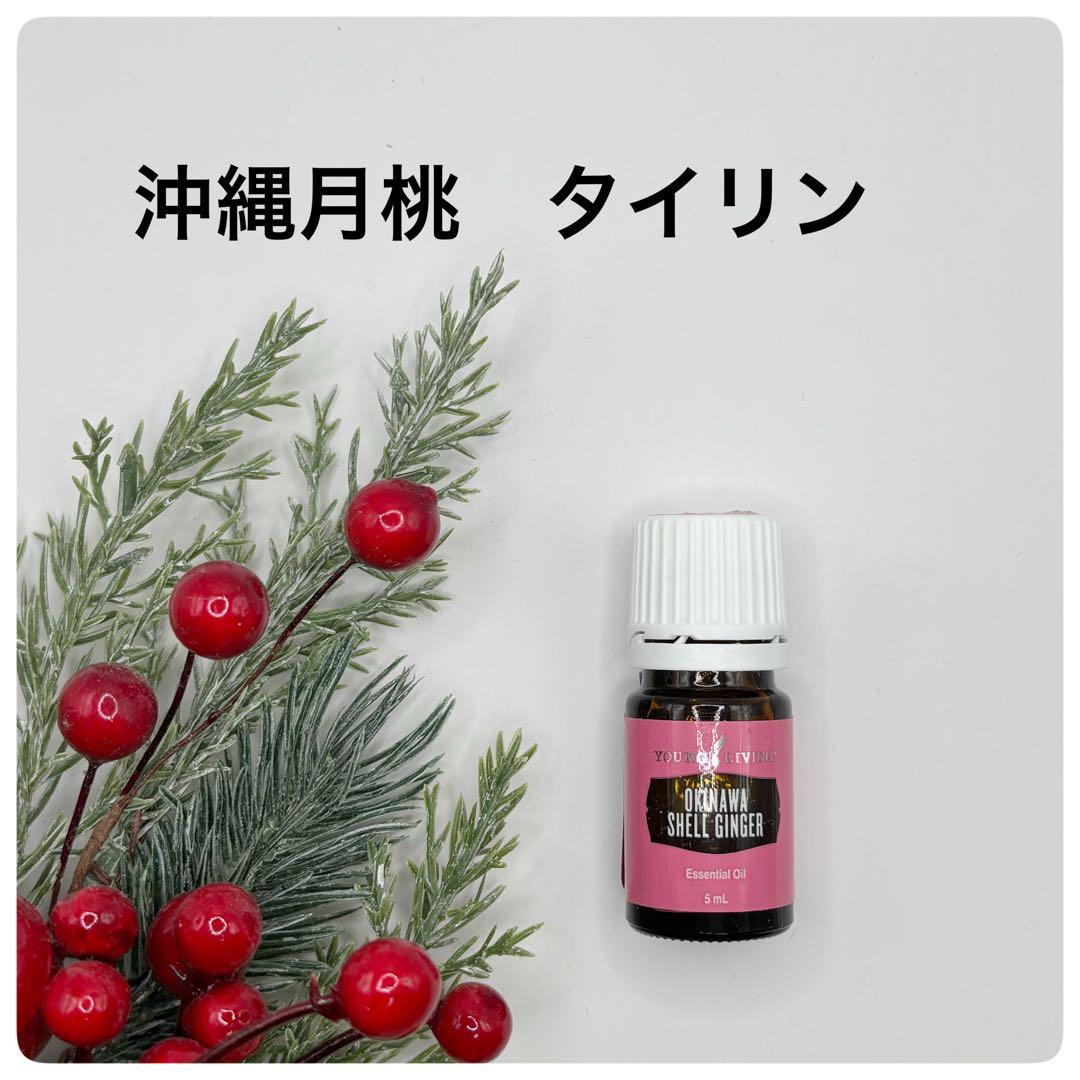 新品❣️ 沖縄月桃　タイリン　5ml 再販開始　ヤングリビング　集中力　スキンケア