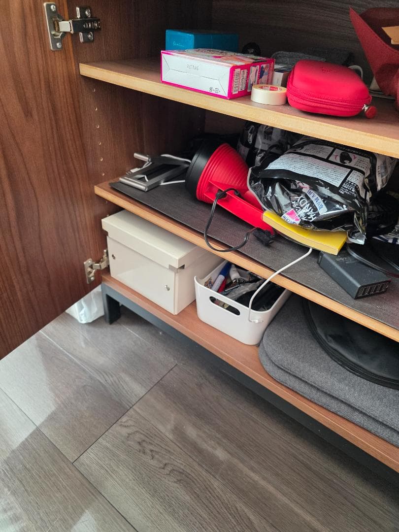 unico 木製キャビネット 2扉 ブラウン