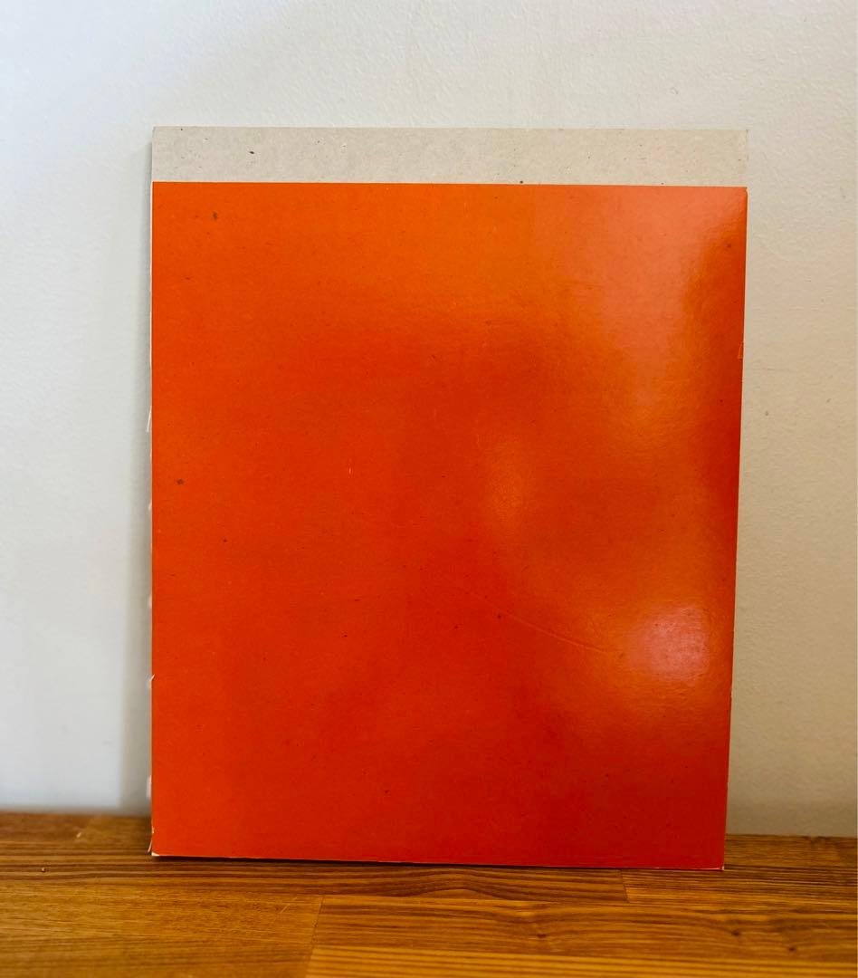 希少　美品 Pierre Schwerzmann スイス 作品集