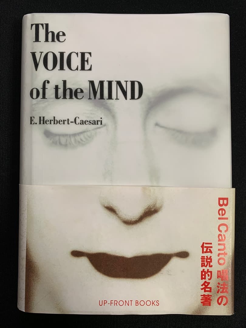 The VOICE of the MIND ザ•ヴォイス•オブ•ザ•マインド