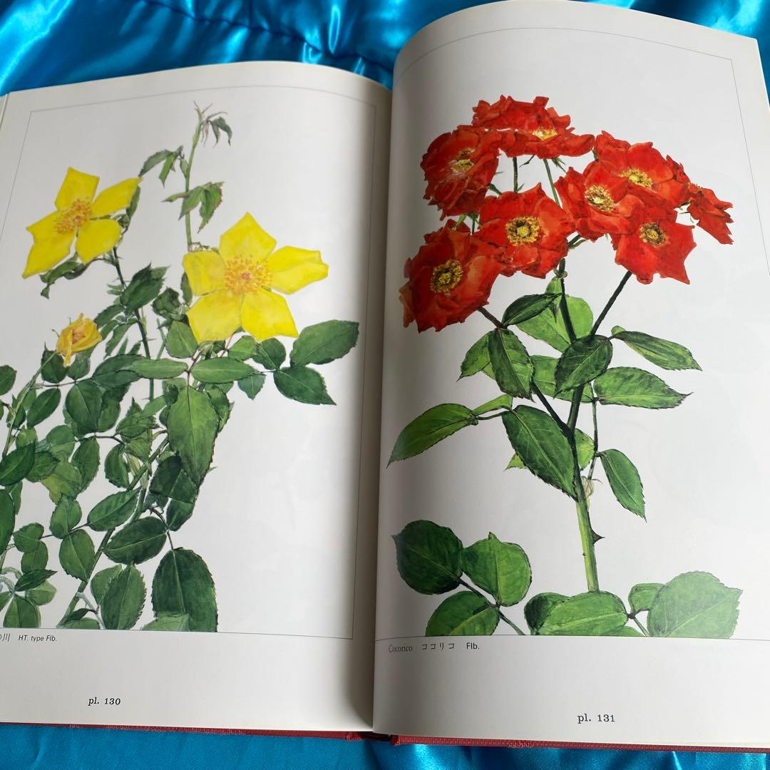 ばら花譜(初版本)