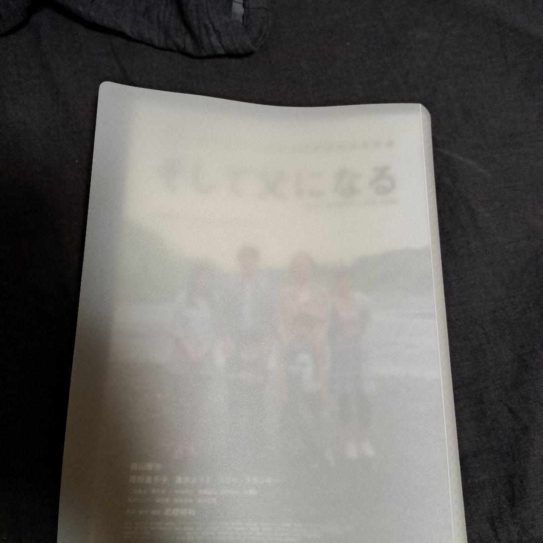 映画フライヤー まとめ売り(購入ページは別です)