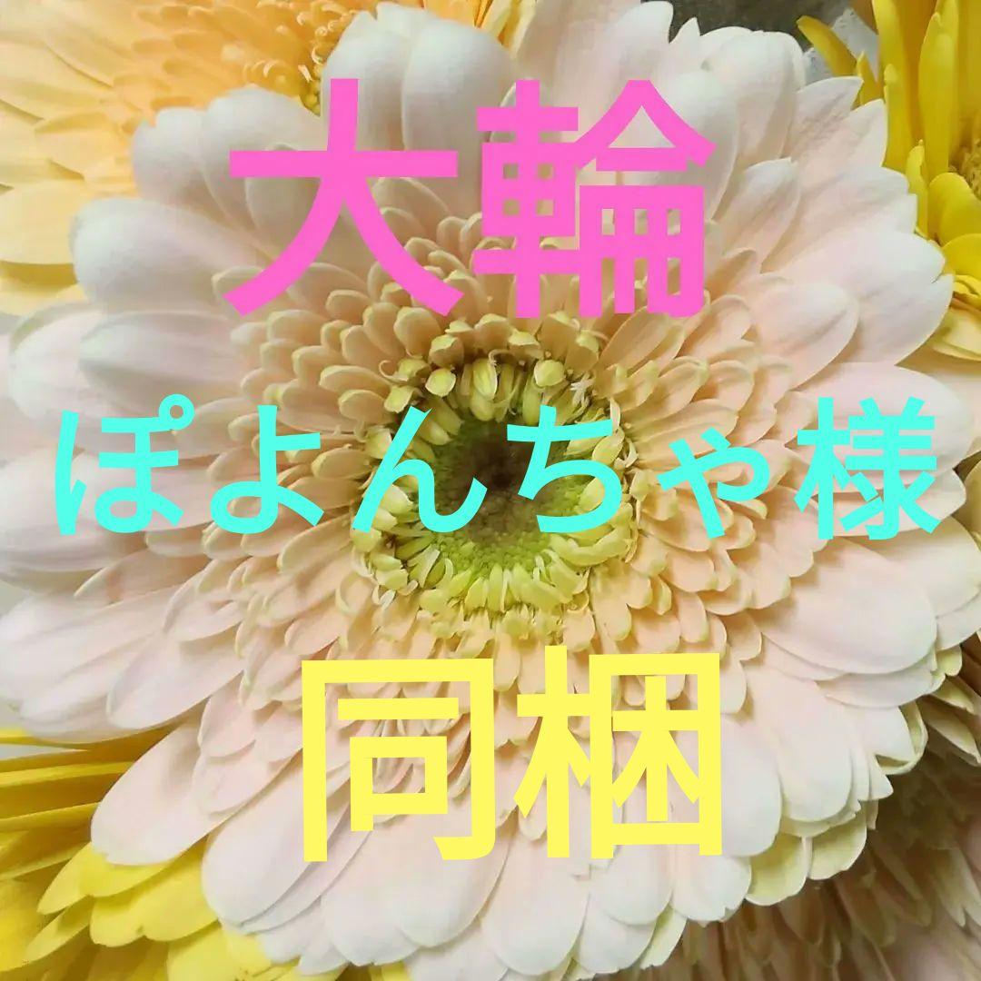 ぽよんちゃ様同梱(切り花 生花 バラ)