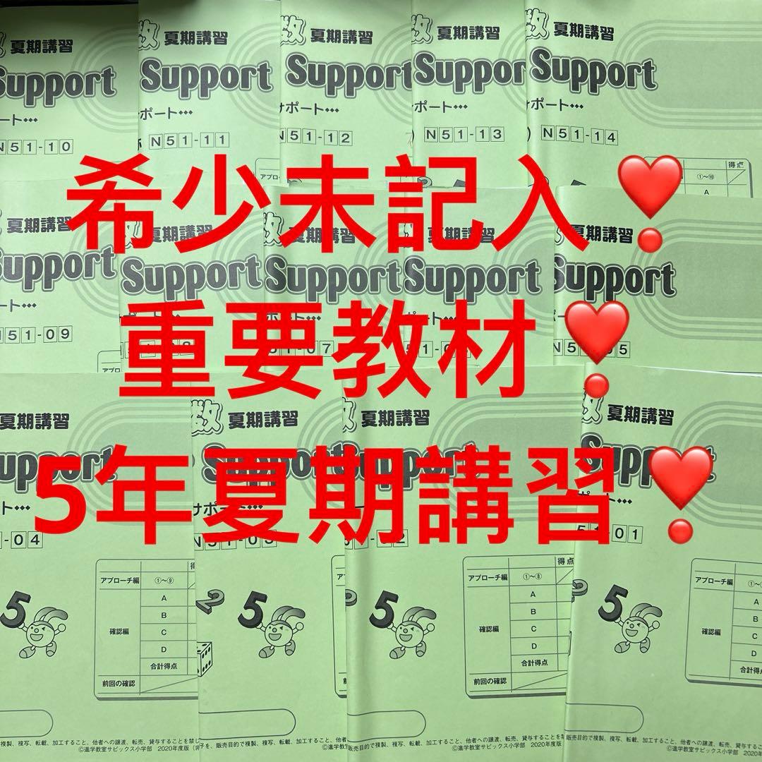 ⑳ A 未記入　SAPIX サピックス　5年　算数　サマーサポート　夏期講習