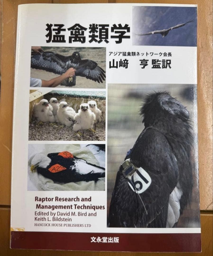 猛禽類学 山崎 亨 訳