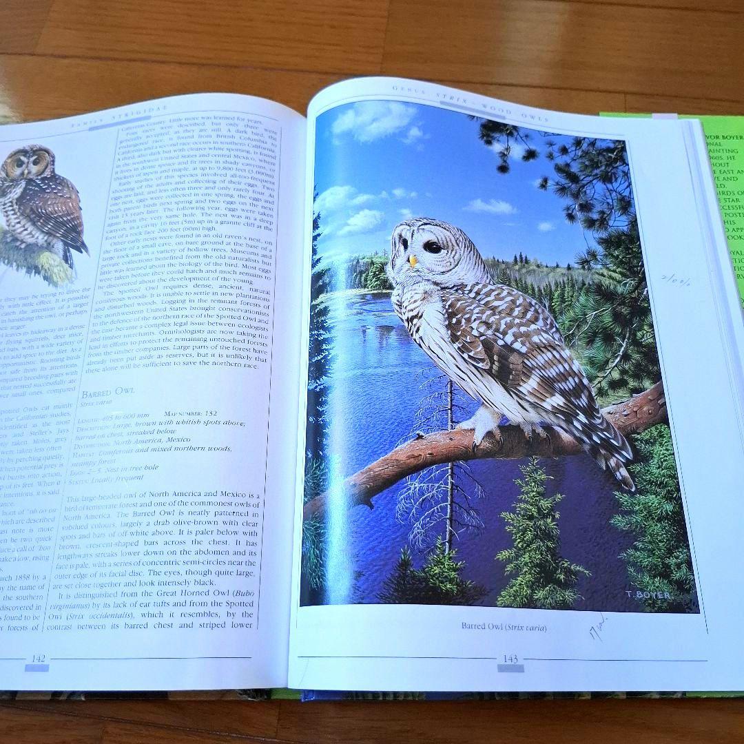 Owls of the World - Rob Hume世界のフクロウ図鑑　洋書