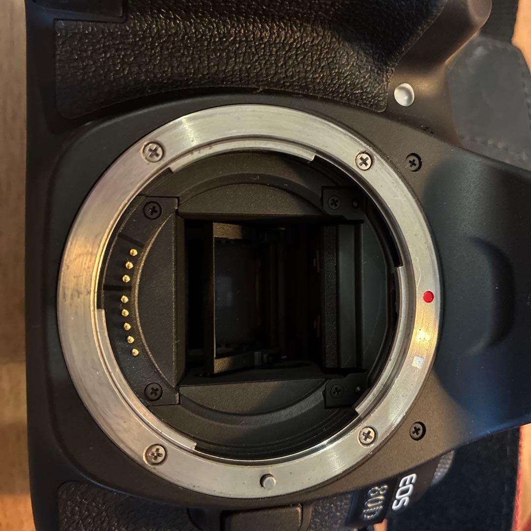 Canon EOS 80D デジタル一眼レフカメラ　50mmレンズ付き
