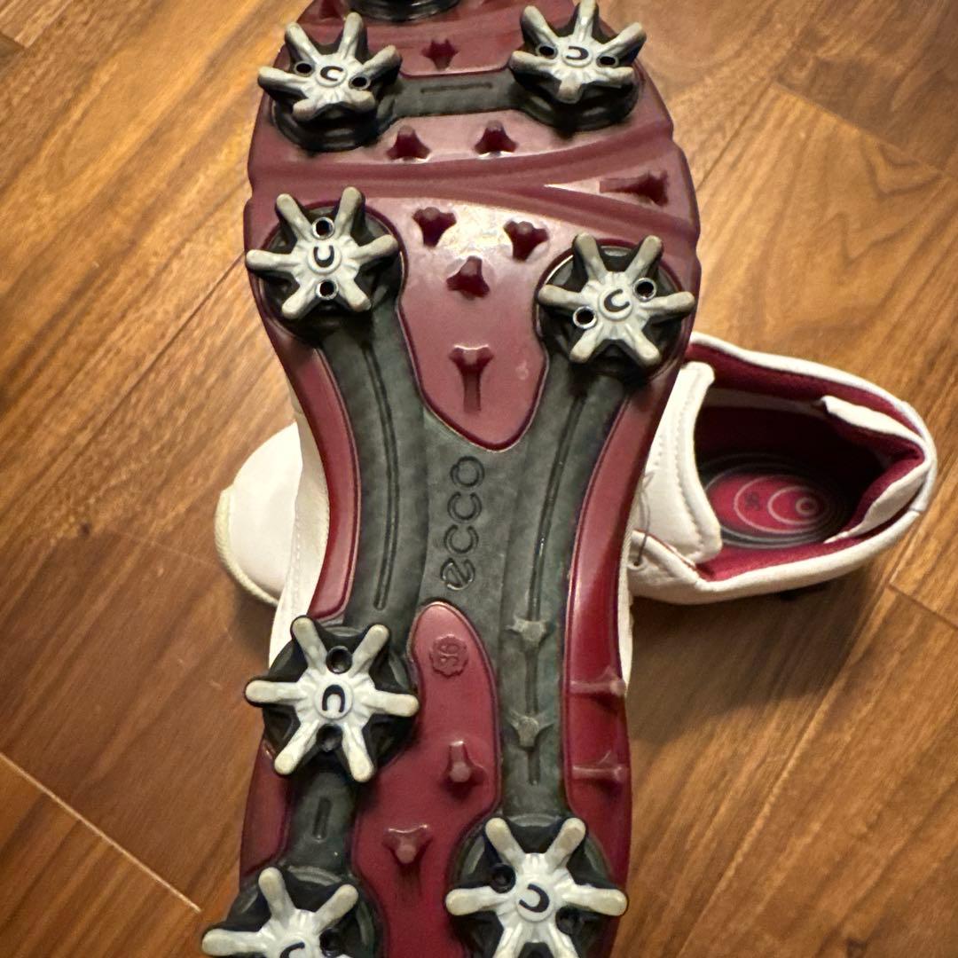 e c coのゴルフシューズレディース用36。本革。防水加工。BOA。