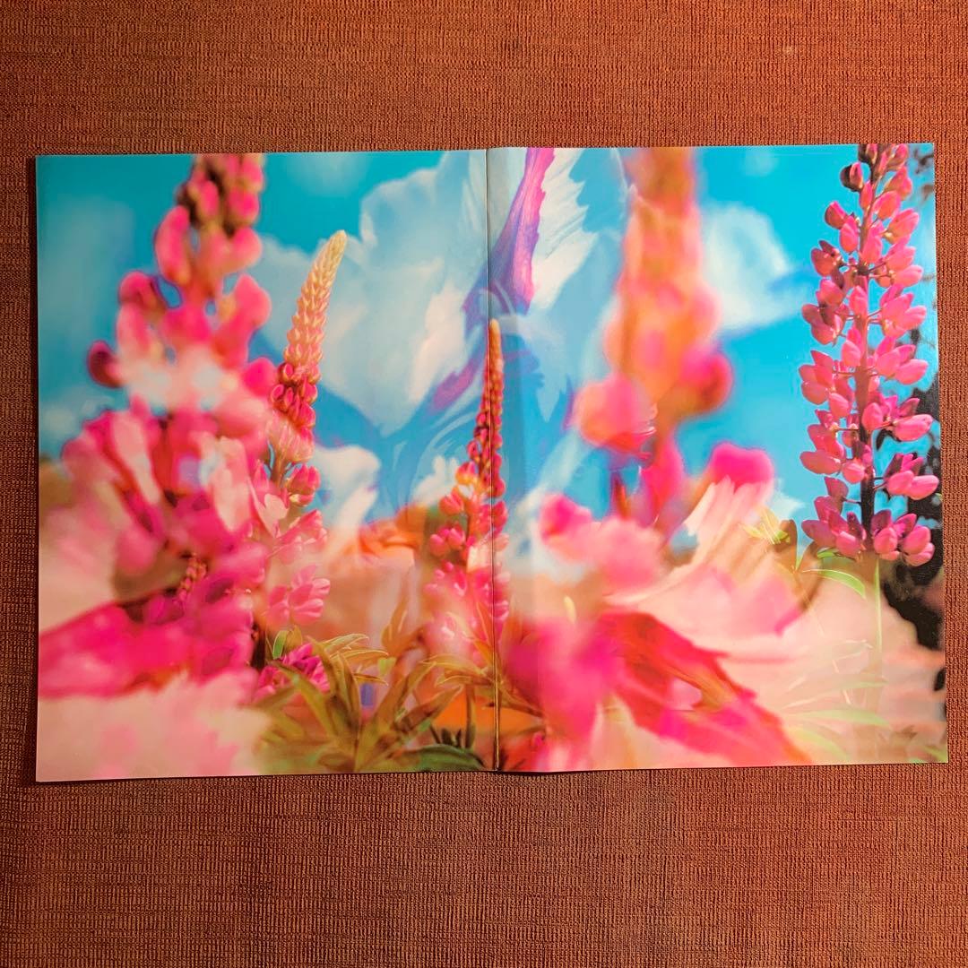 アート・デザイン・音楽 Peter Fischli David Weiss: Musee d'Art M