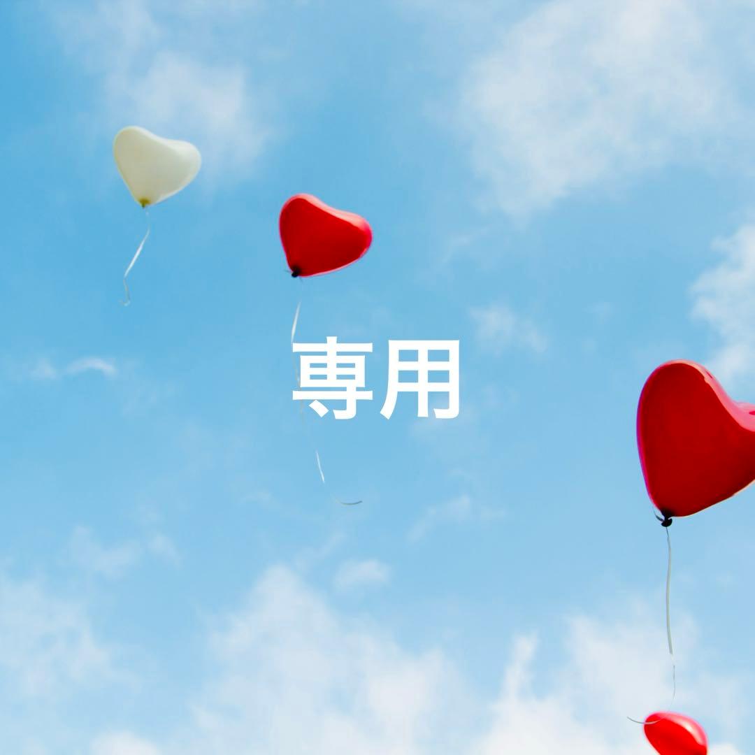 【りこぴん様】ニナファーム アクティアージュプレシャスエフェクティブ＋【各1点】